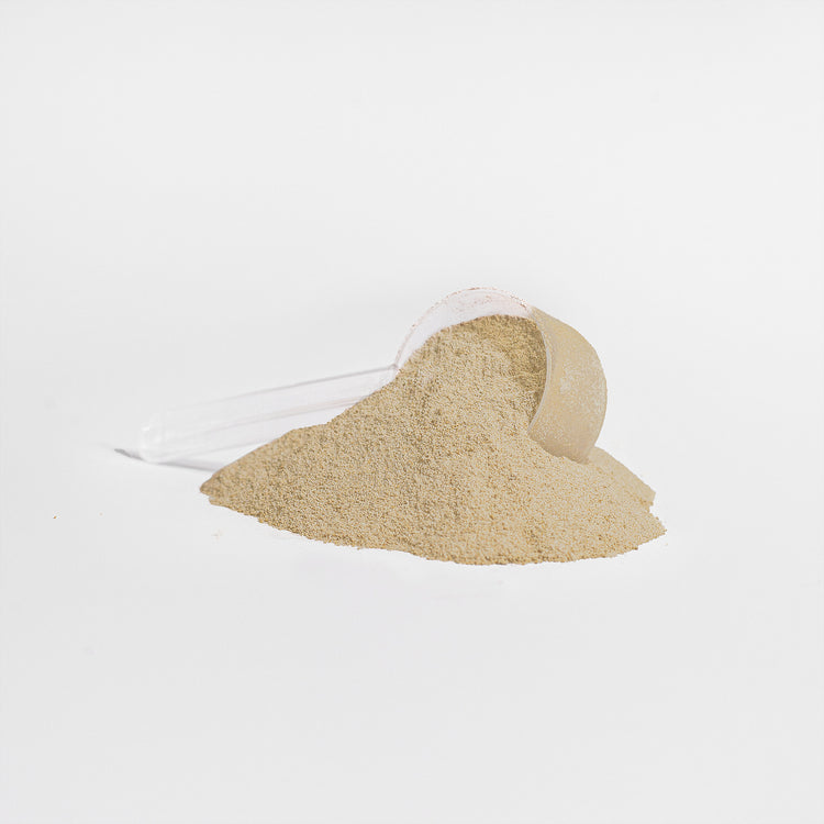 Advanced 100% Whey Protein Isolate (Vanilla) - Huy&