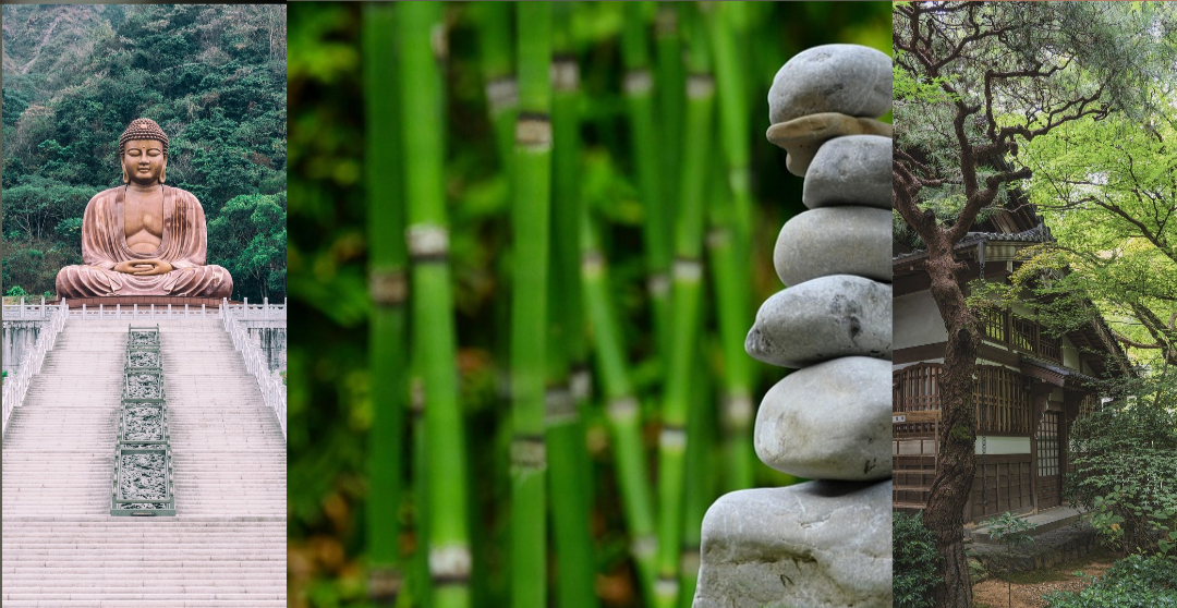 Power-Up-Naturally-Where-Eastern-Vitality-Meets-Modern-Energy-Needs Huy's Health and Herbs