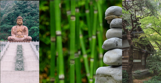 Power-Up-Naturally-Where-Eastern-Vitality-Meets-Modern-Energy-Needs Huy's Health and Herbs
