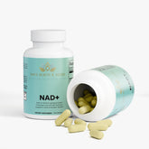 NAD+ Huy&